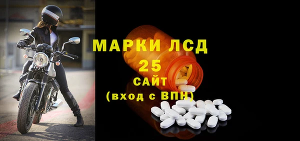 ГАЛЛЮЦИНОГЕННЫЕ ГРИБЫ Покачи