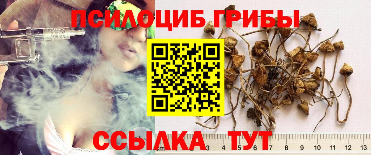 Курганинск  Галлюциногенные грибы Magic Shrooms  Вход с VPN 