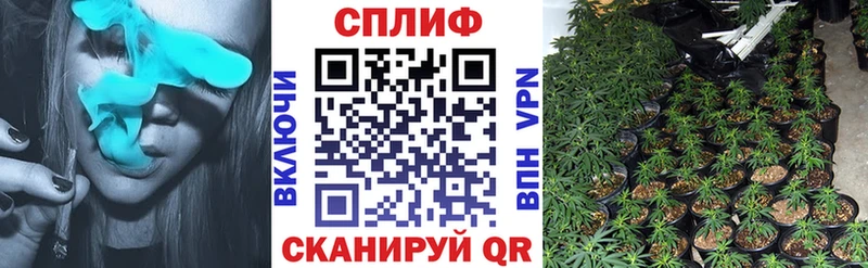 блэк спрут ссылки Курганинск Шишки марихуана THC 21%
